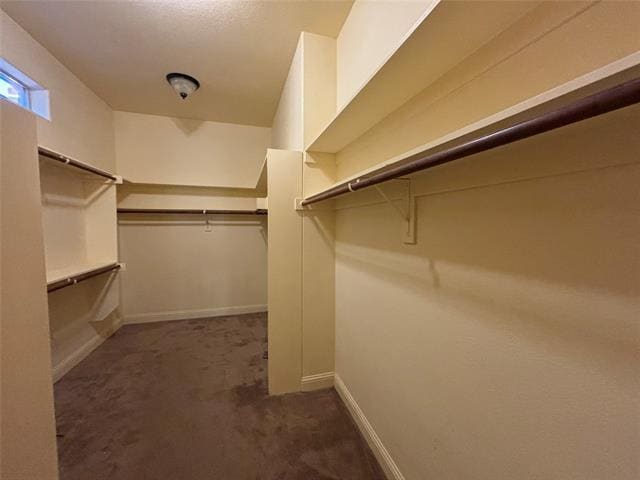 Building Photo - 2807 Borama Dr
