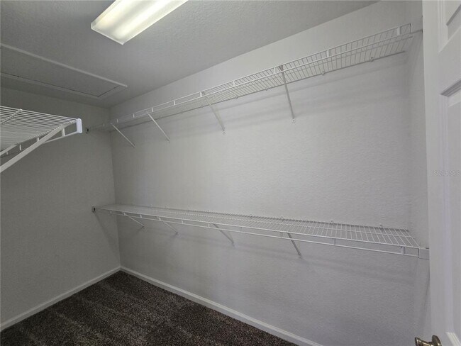 Building Photo - 3542 Shallot Dr