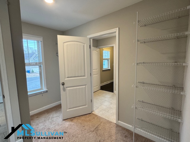 Building Photo - 109 White Burley Ct