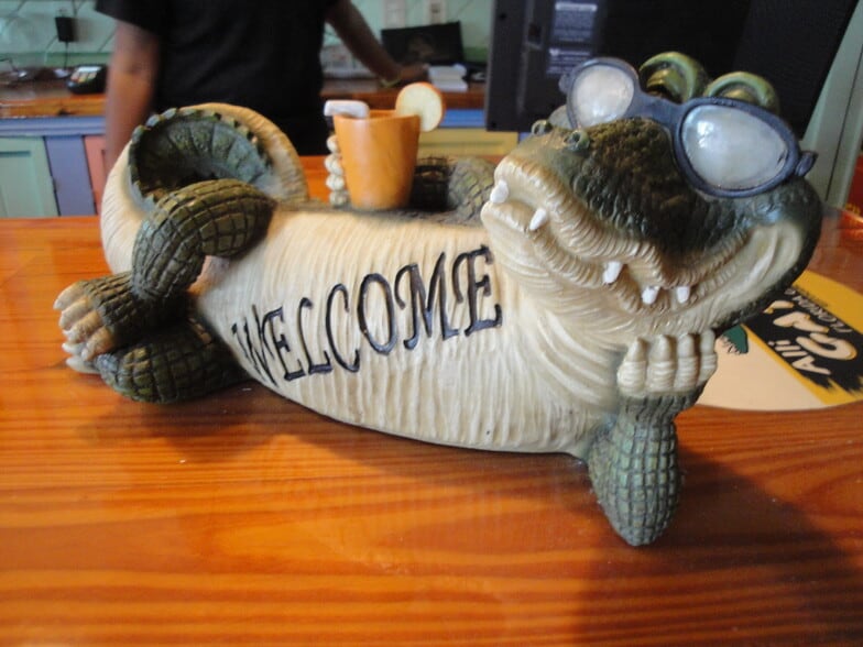 my welcoming aligator - 9800 Quinta Artesa Way