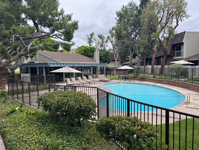 Pool Area - 13326 Maxella Ave