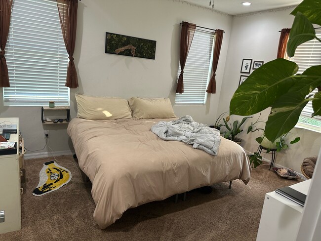 Master Bedroom - 8924 N Highland Ave