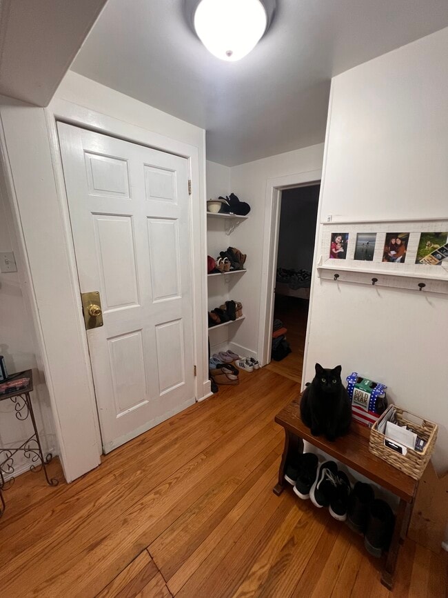 Building Photo - 17 Idlewild Park