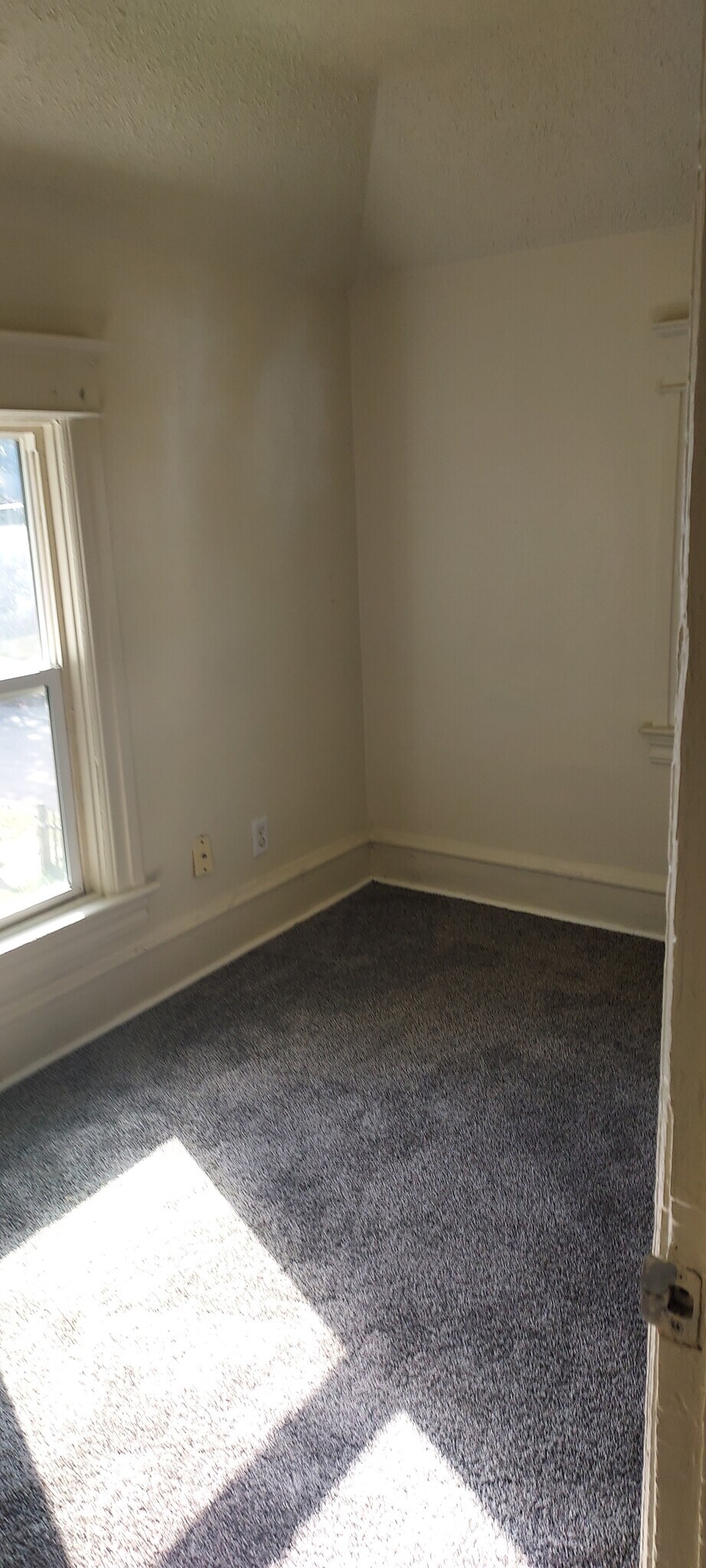 Building Photo - 231 Forest Ave