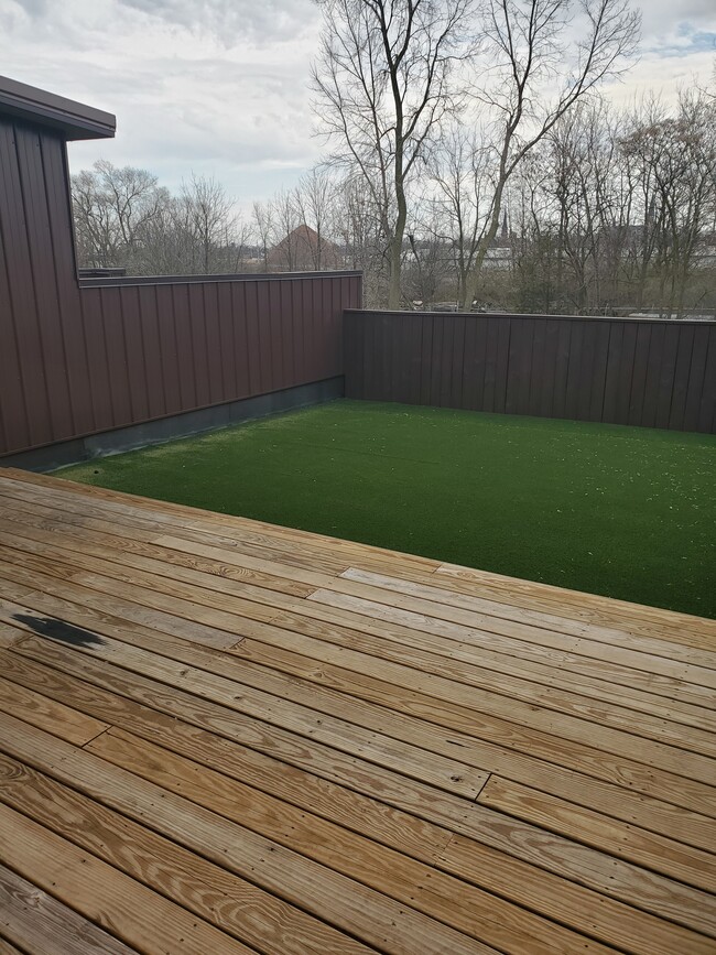 Private rooftop deck with artificial turf - 438 E Brackenridge St