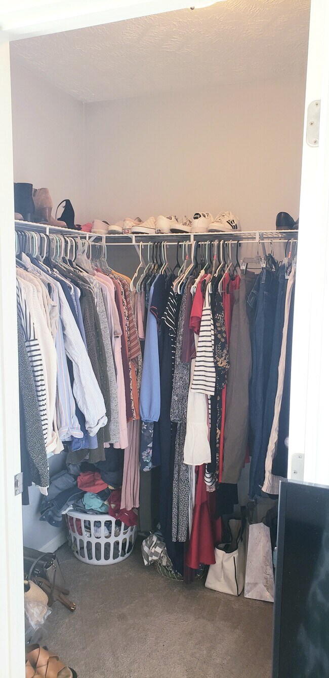 Walk-in closet in master - 3026 Burnt Pine Dr