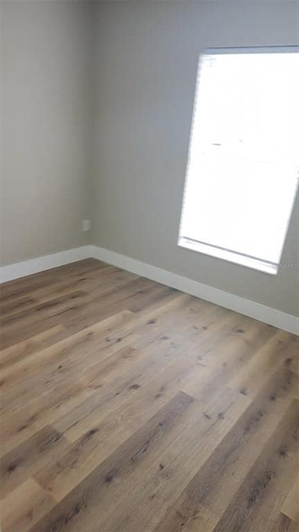 Building Photo - 2831 Fifer Dr