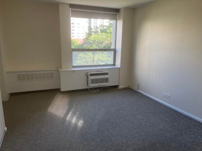 Building Photo - 1360 N Sandburg Terrace