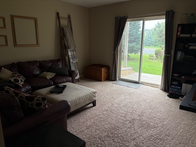 Lower level living area - 7107 153rd Ter