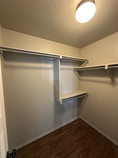 Building Photo - 14601 Moon Daisy Dr
