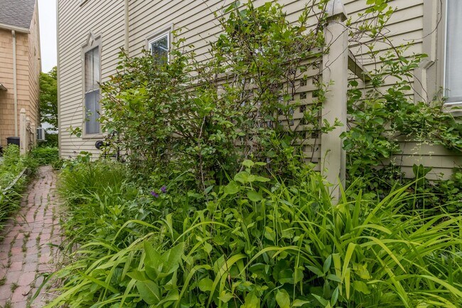 Building Photo - 256 Vaughan St
