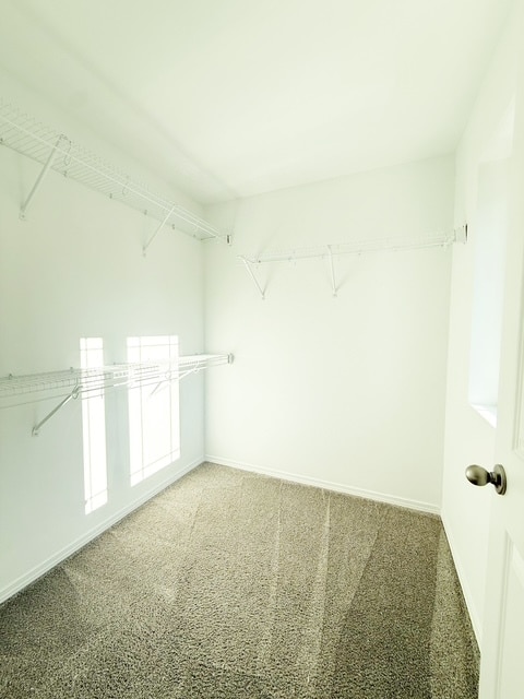 Building Photo - 275 NE Miramar Cir