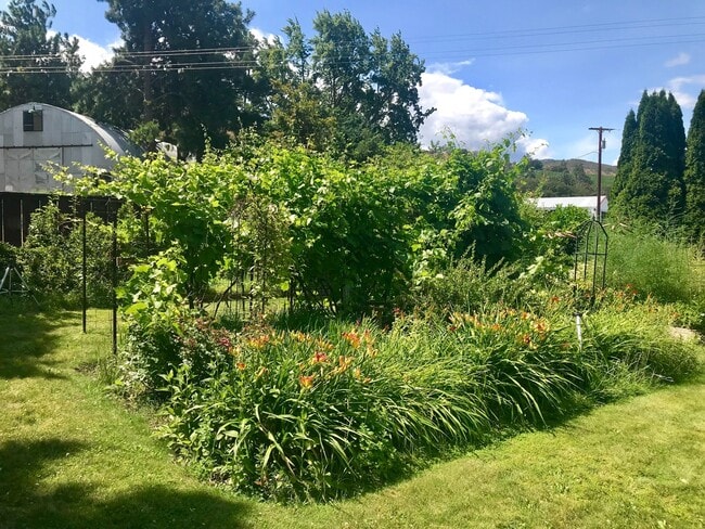 Building Photo - Country Home!