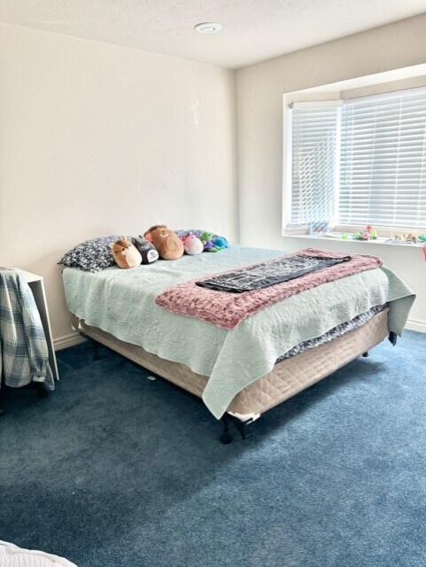 Building Photo - 1541 N 550 W