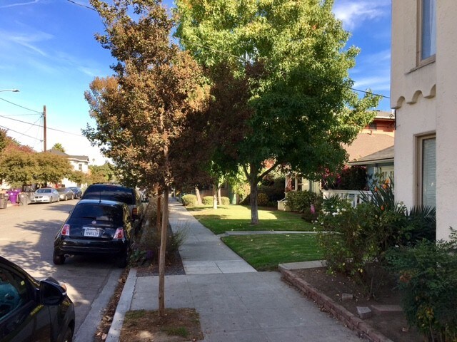 peacefull street - 1723 E Erie St