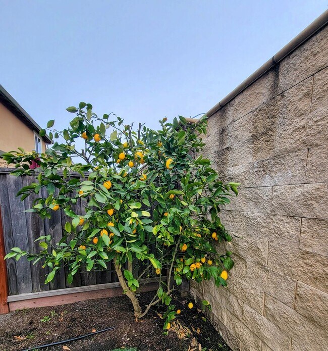 Building Photo - Move-In Special: Get $2,000 Off Your Secur...