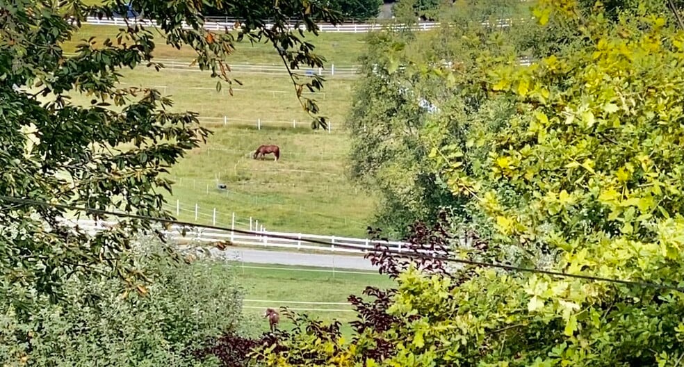 Horses in distance - 12830 141st Pl SE