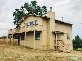 Building Photo - 24440 Jacaranda Dr