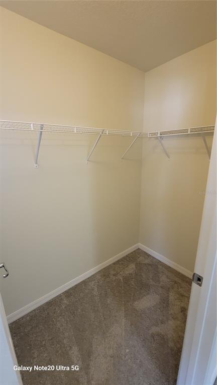 Building Photo - 5175 Sylvester Loop