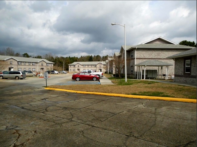 Primary Photo - Blue Meadow Apartments