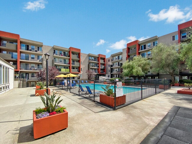 Building Photo - Piedmont