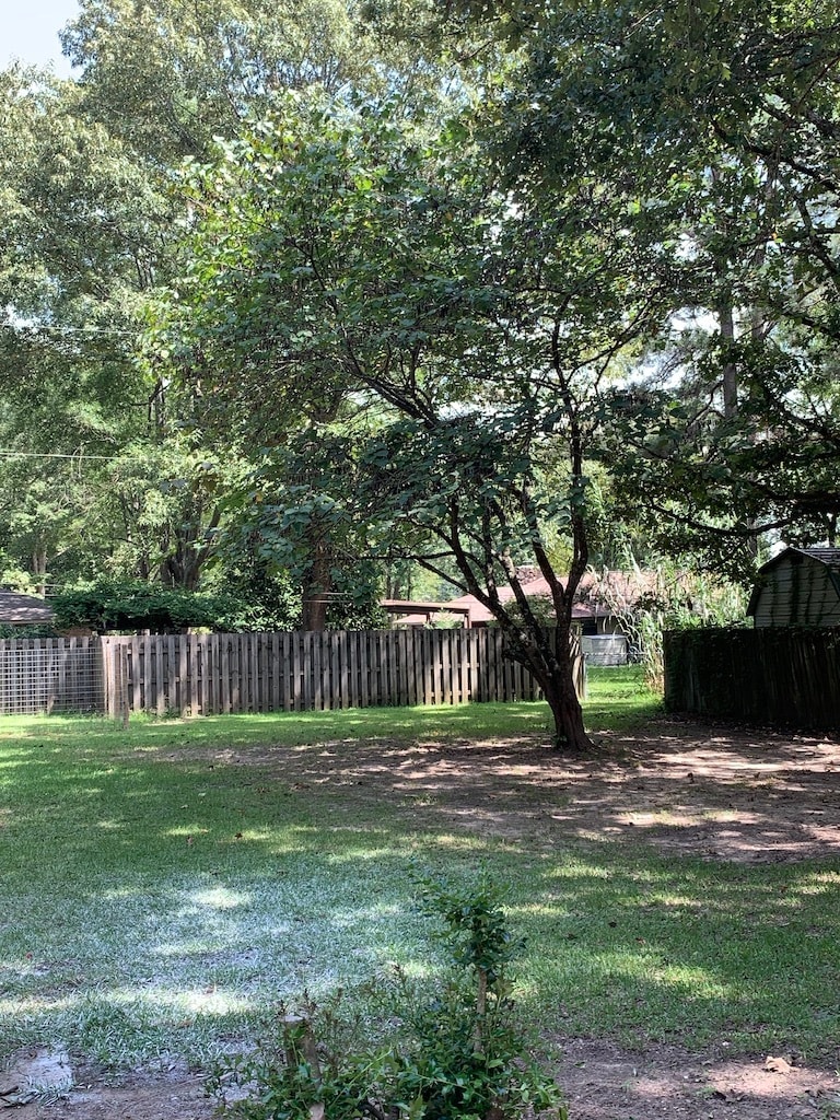 Backyard - 1903 Ginnett Rd