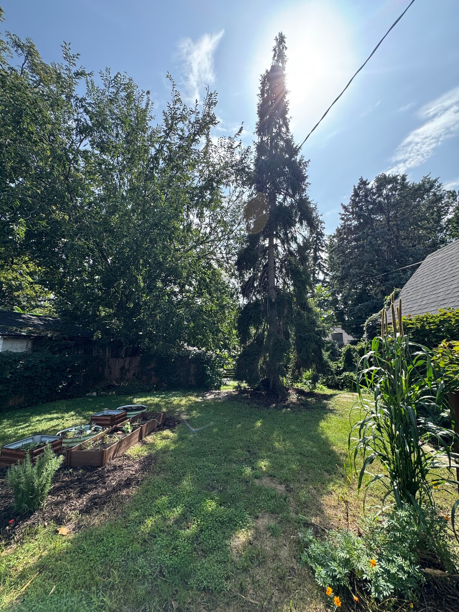 Building Photo - 2545 Van Dorn St