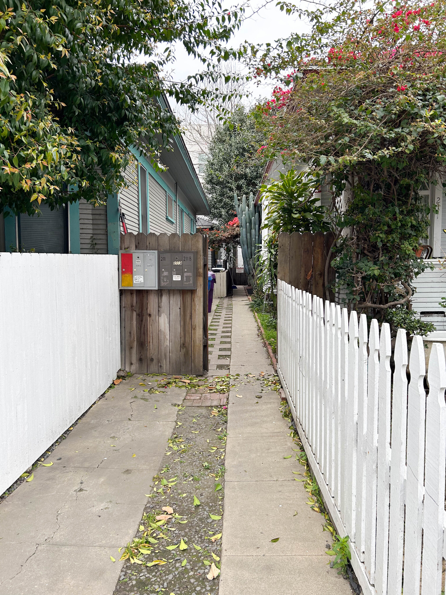 Gate to Units A & B, always kept closed. Path back to Units. - 211 Linden Avenue