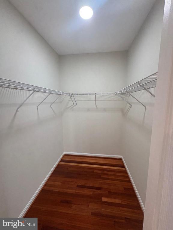 Building Photo - 537 Ensemble Ct
