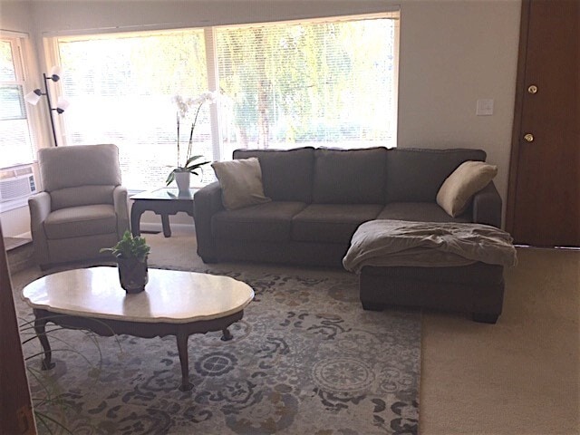 Building Photo - Classic Northgate Rambler