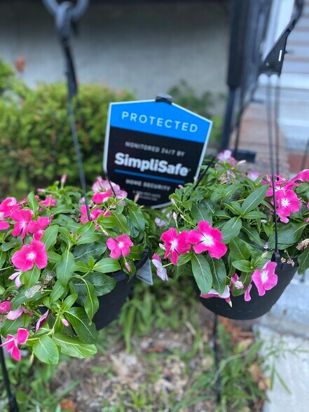 Building Photo - 121 Orlando St