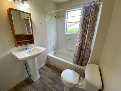 Building Photo - 309 N Louisa Ave