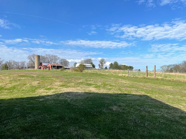 Building Photo - Looking for a ranch in Blount county?