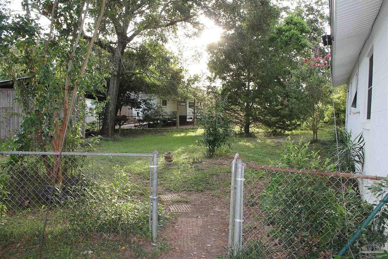 Back Yard - 800 Blue Springs Dr