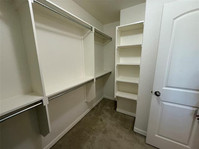 Building Photo - 309 Sir Brine Dr