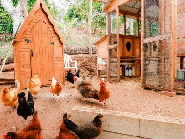 Building Photo - 30185 Vía Maria Elena