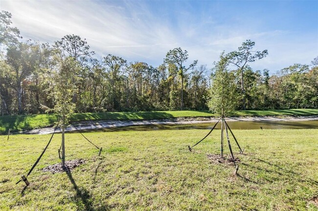 Building Photo - 17602 Nectar Flume Dr