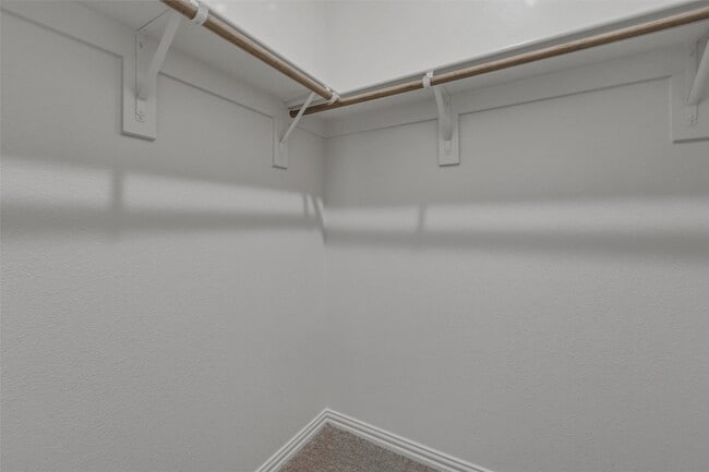 Building Photo - 1229 Sabine River Ln
