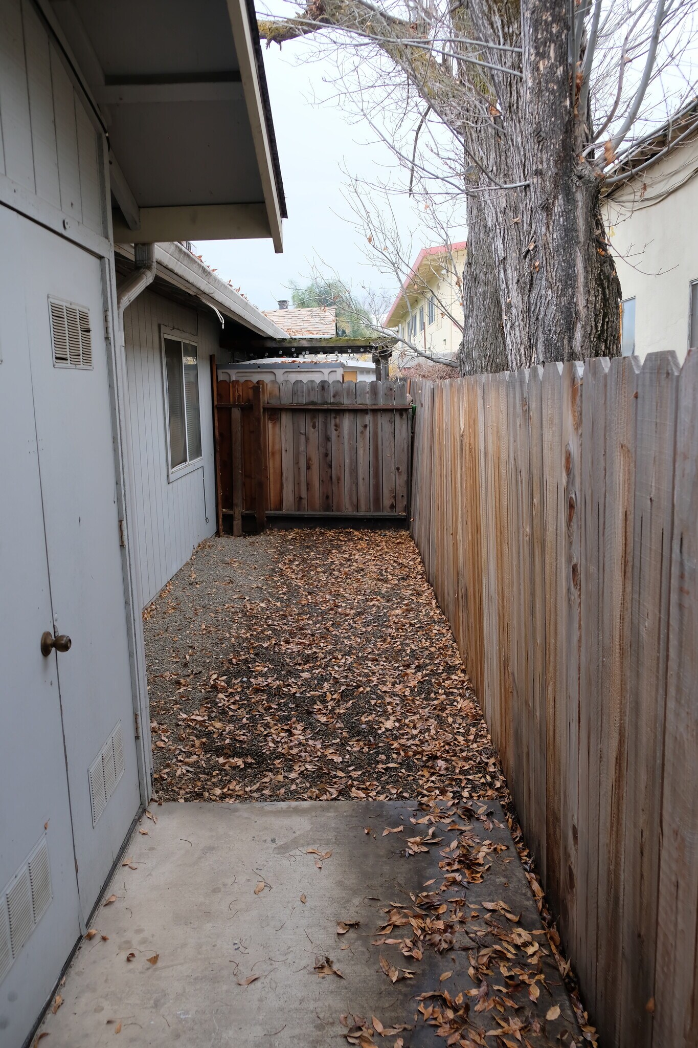 Back Patio / Yard - 118 W Beverly Pl