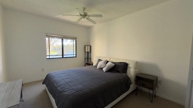 Building Photo - 2814 Grande Pky