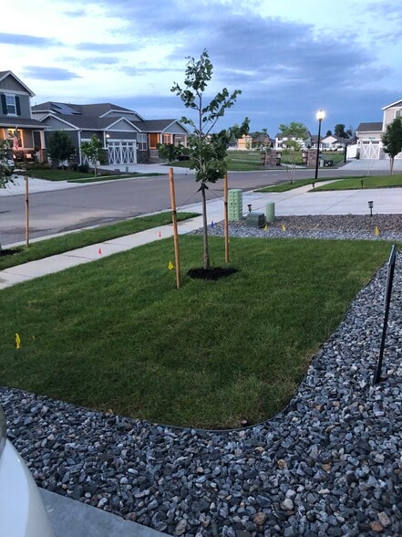 Front yard - 1033 Urial Dr