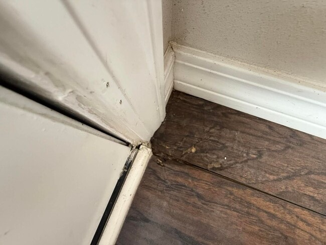 Building Photo - Three Bedroom Two Bath - Foley