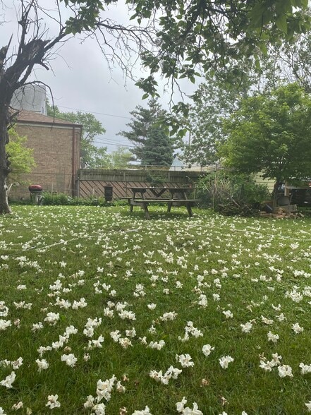 Large yard - 4532 S Francisco Ave