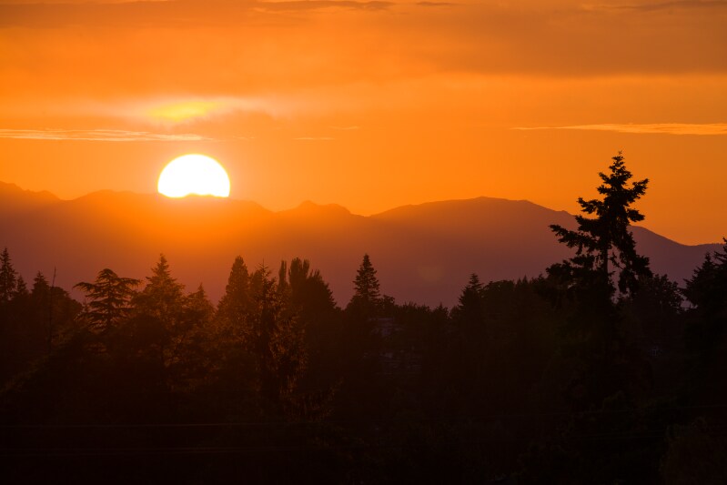 Building Photo - 9429B 18th Ave SW