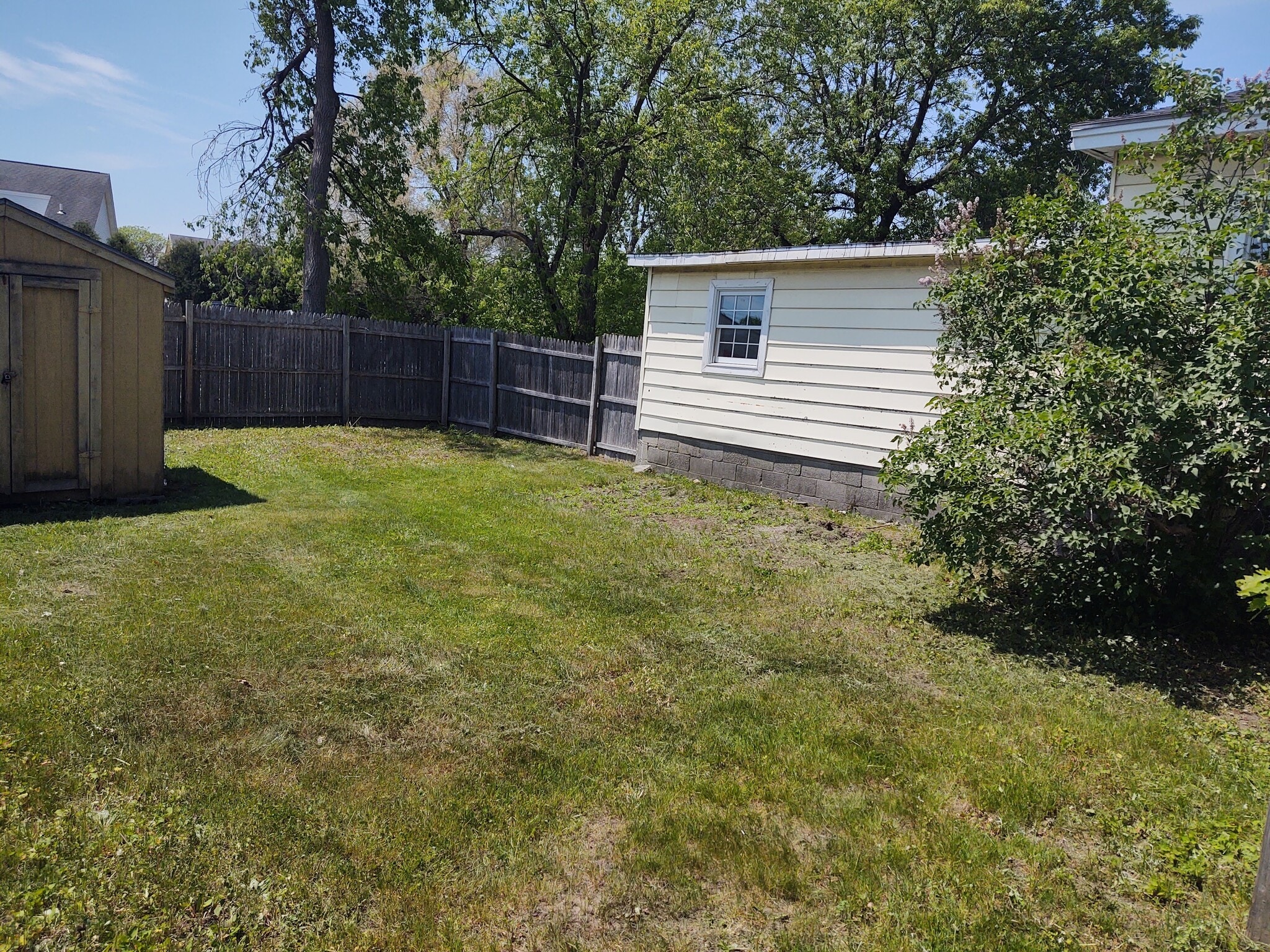 Backyard - 174 Johnson Ave