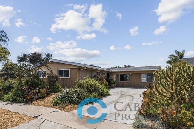 Building Photo - 4533 Mt Lindsey Pl