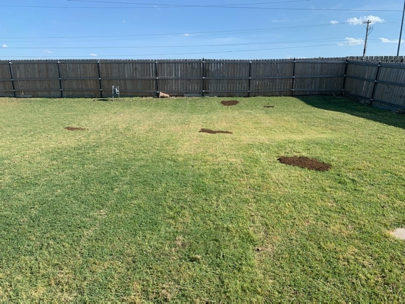1/2 back yard - 6122 SW Summit Ave