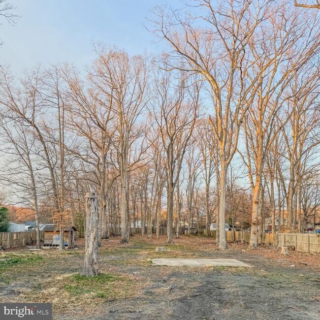 Building Photo - 205 Biddle Rd