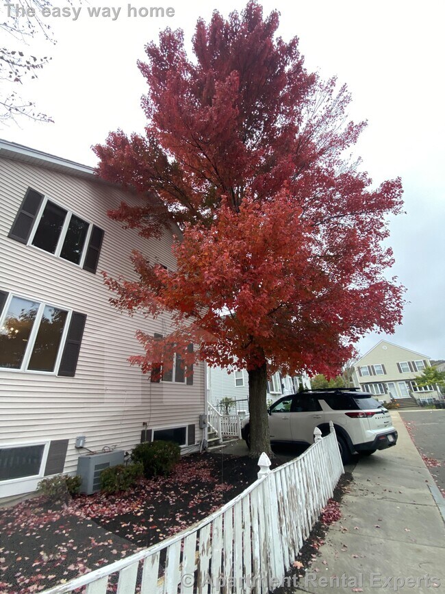 Building Photo - 309 Beacon St
