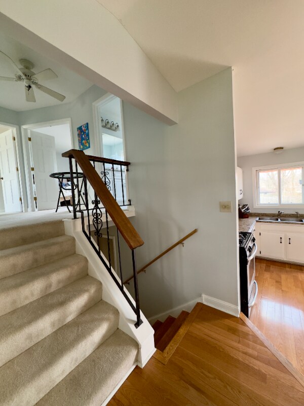 Building Photo - 111 White Oak Dr